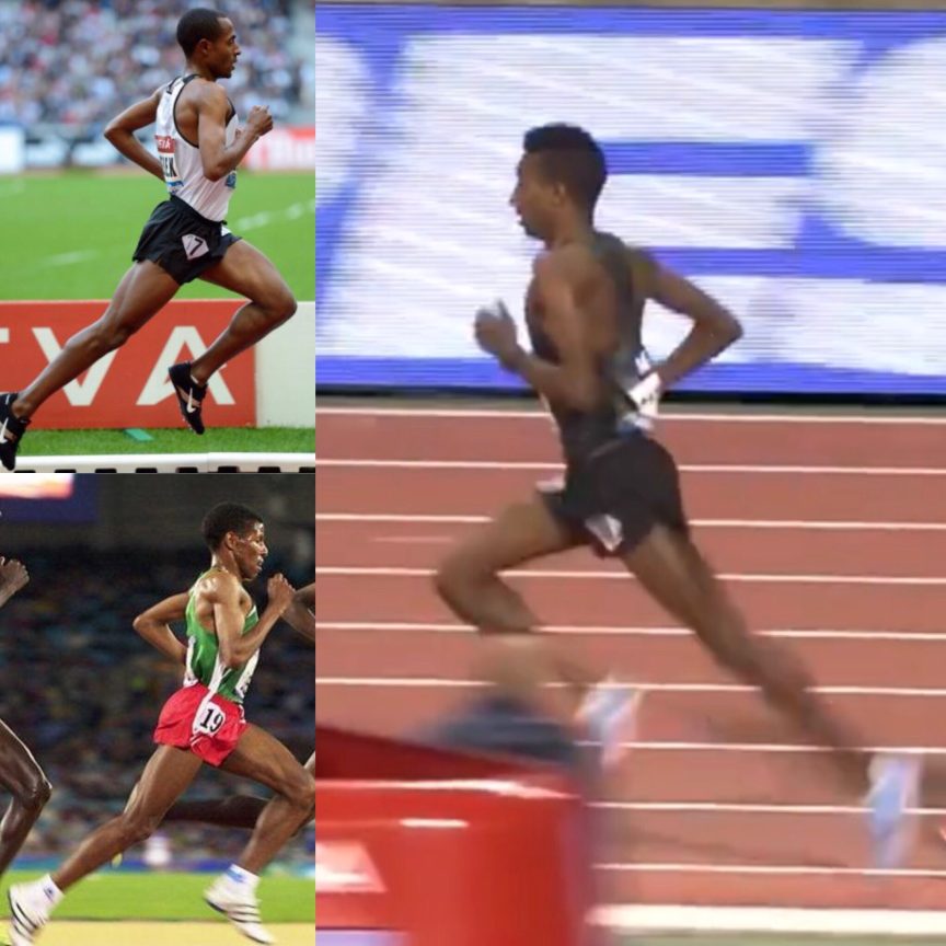 Throwing the Cat Amongst The Pigeons Throwing the Cat Amongst The Pigeons | Peal Sports Performance Coaching
